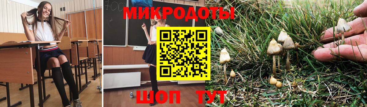 Псилоцибиновые грибы GOLDEN TEACHER  Вход с VPN  Галлюциногенные грибы мицелий  Лабинск 