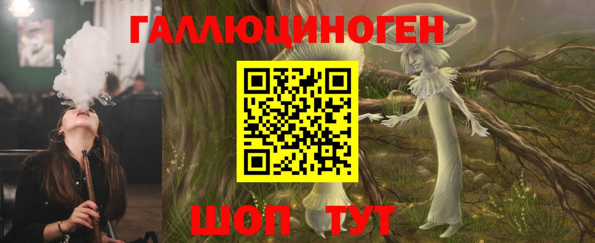 Галлюциногенные грибы Psilocybine cubensis Лабинск